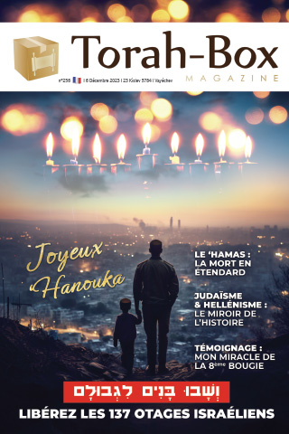 Torah-Box Magazine n°256 - France - Vayéchev