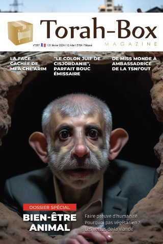 Torah-Box Magazine n°267 - France - Tetsavé