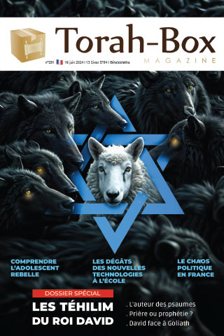 Torah-Box Magazine n°281 - Israël - Béhaalotékha